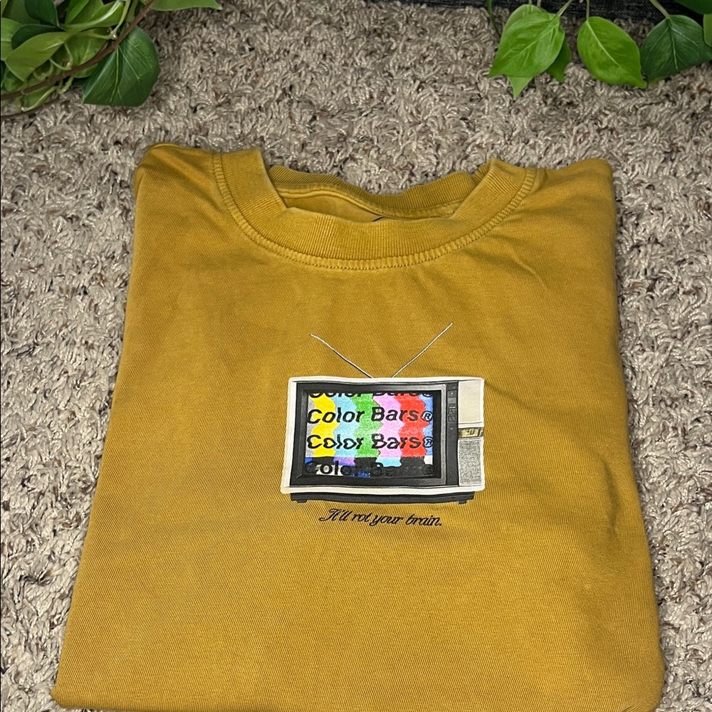 Color Bars No Signal Tee in the Peanut Butter colorway